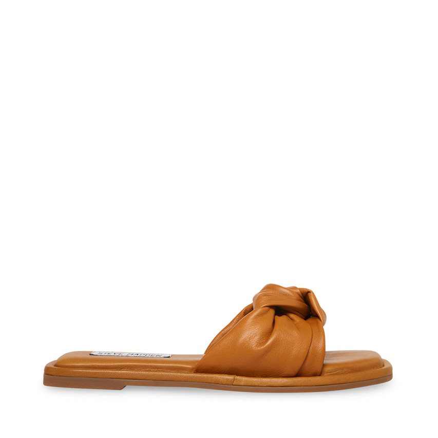 Brown Steve Madden Tatiana Women\'s Slides | PH 3950UZS